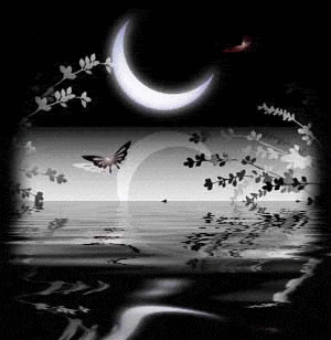 nocą...